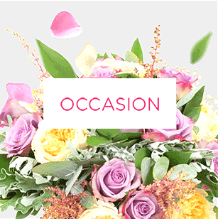 Occasions