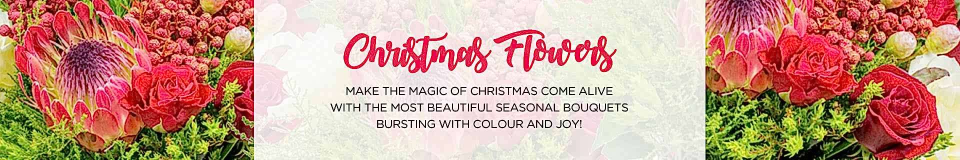 christmas-flowers.jpg