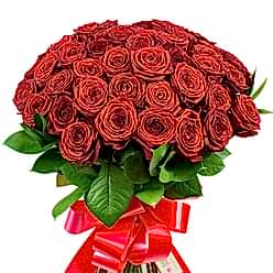 RED EXUBERANCE