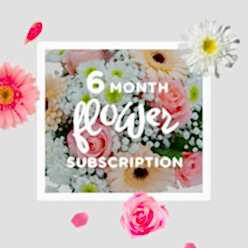 6 MONTH FLOWER SUBSCRIPTION
