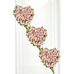 APPRECIATED & ADMIRED CASKET HEARTS