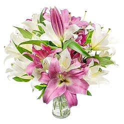 MARVELOUS BLOOMS
