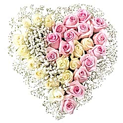 INFINITY ROSE HEART