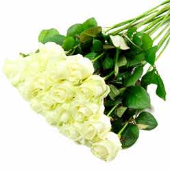 WHITE ROSES SERVICE ARRANGEMENT