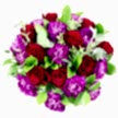 SCARLET KISS L